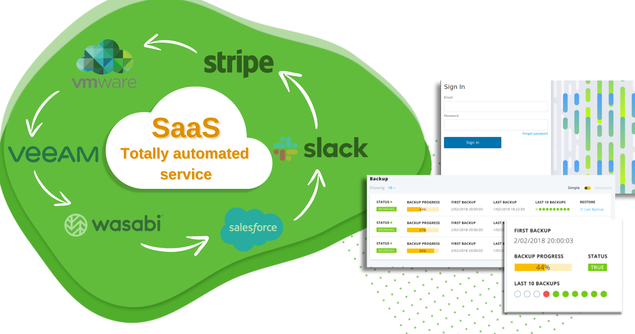 Development of SaaS web portal using Django with Salesforce integration